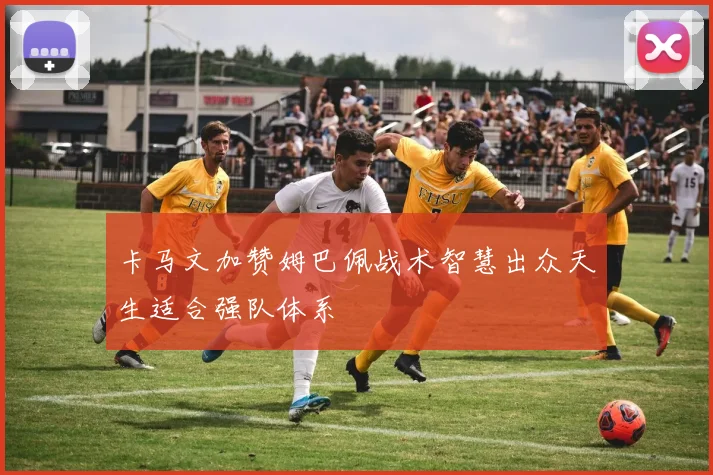 卡马文加赞姆巴佩战术智慧出众天生适合强队体系