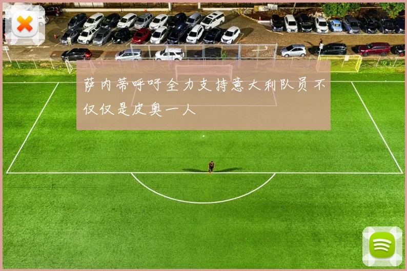 萨内蒂呼吁全力支持意大利队员不仅仅是皮奥一人